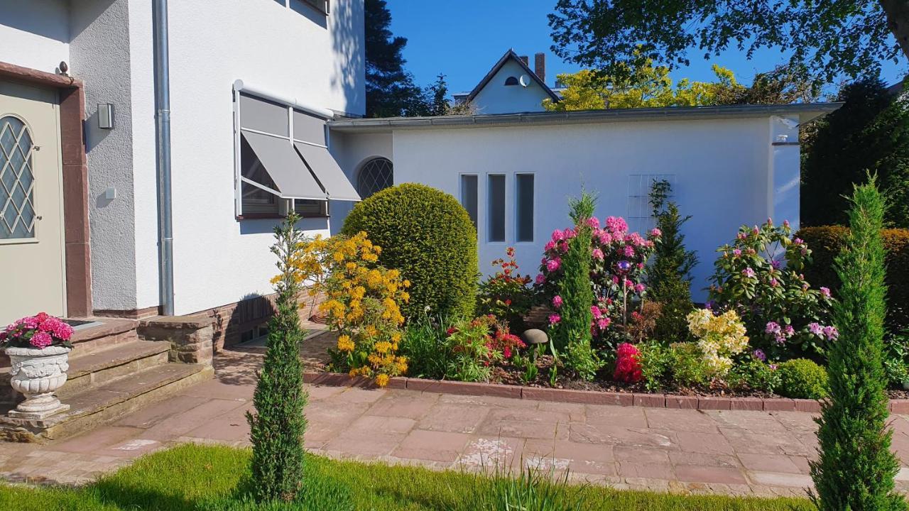 Ferienwohnung Wilhelmshöher Weg Kassel Exterior foto